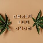 Урбеч из семян конопли полезные свойства и применение img-1284.jpg