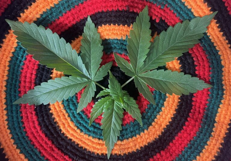 Гашиш в Египте: законодательство и реальность покупки наркотиков