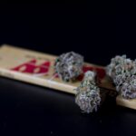 Купить семена конопли онлайн на форуме и в интернет магазине img-225.jpg