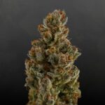 Ссылка на ОМГ сайт и его использование img-2262.jpg