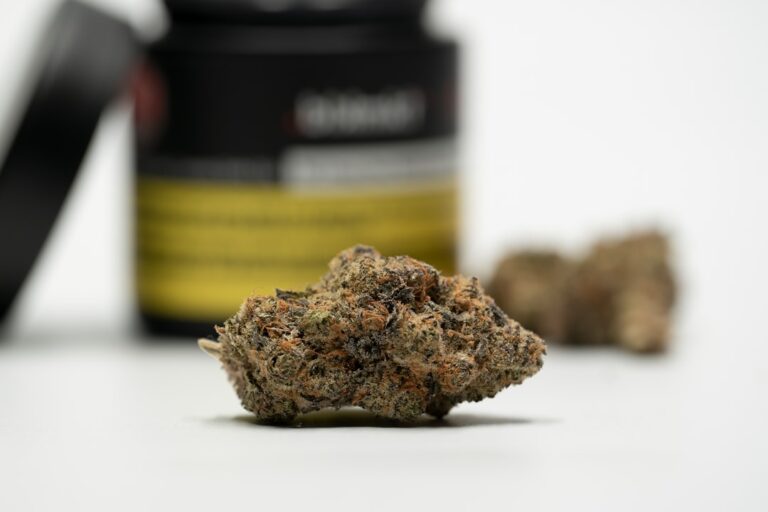 Семена конопли как корм для попугаев