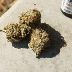 Особенности продажи спайса и его характеристики img-2339.jpg