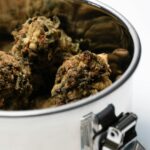 Покупка и доставка семян технической конопли по России img-2391.jpg