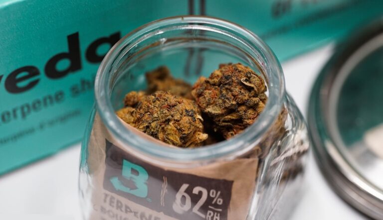 Покупка наркотических веществ онлайн и их свойства