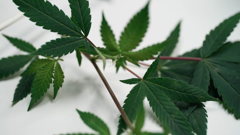 Синтетические наркотики и их опасность для здоровья