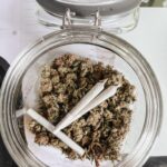 Семя Конопли в Птичьем Корме Обзор и Применение img-252.jpg