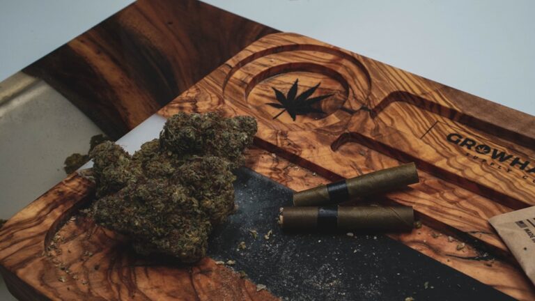 Уход за семенами марихуаны: основные аспекты