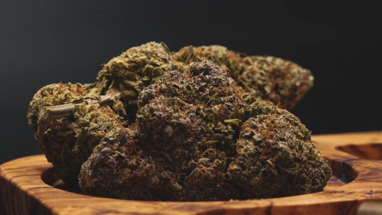 Семена конопли Auto Lemon Skunk от Ganja Seeds