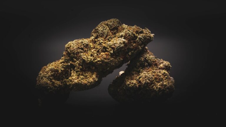 Зеркала Кракена: Миф или Реальность