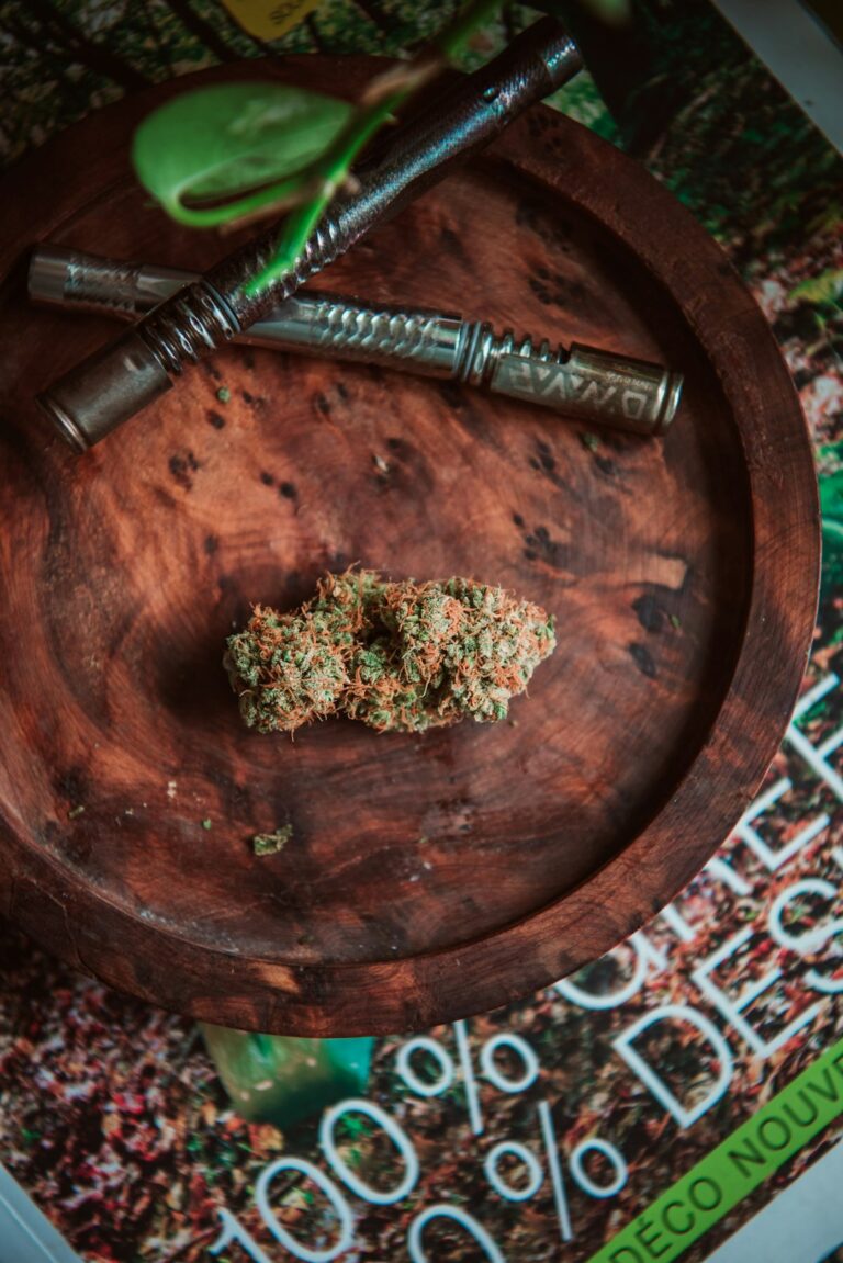 Проращивание семян конопли и их подготовка к посеву