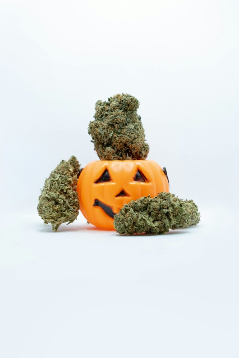 Псилоцибиновые грибы и их применение