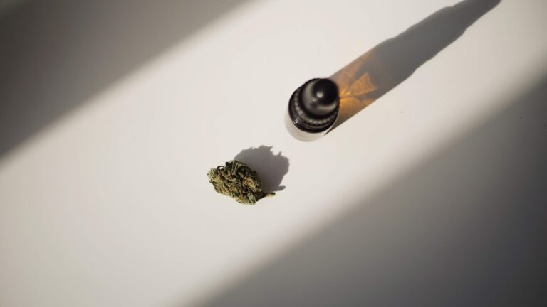 Качественные семена конопли для успешного выращивания