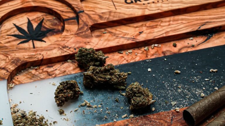 Сушка семян конопли