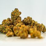 Купить семена конопли в Украине и России онлайн img-2984.jpg