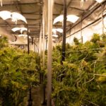 Героин: Свойства, Эффекты и Риски Наркотического Средства img-2999.jpg