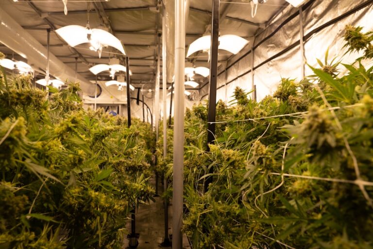 Героин: Свойства, Эффекты и Риски Наркотического Средства