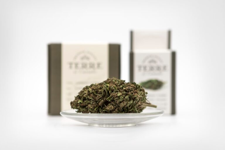 Автоцветущие Феминизированные Семена Конопли: Особенности и Преимущества Выращивания