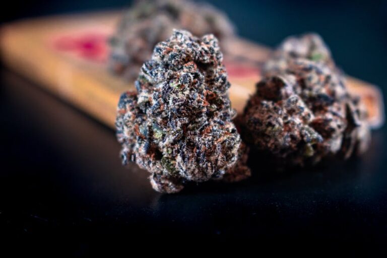 Семена конопли в Санкт-Петербурге