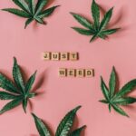 Семена конопли как корм для птиц img-615.jpg