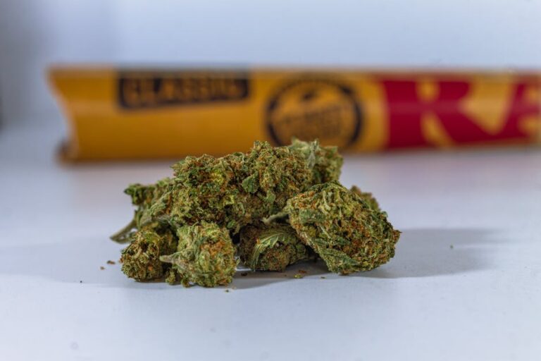 Купить семена марихуаны в Санкт-Петербурге в интернет-магазине с доставкой